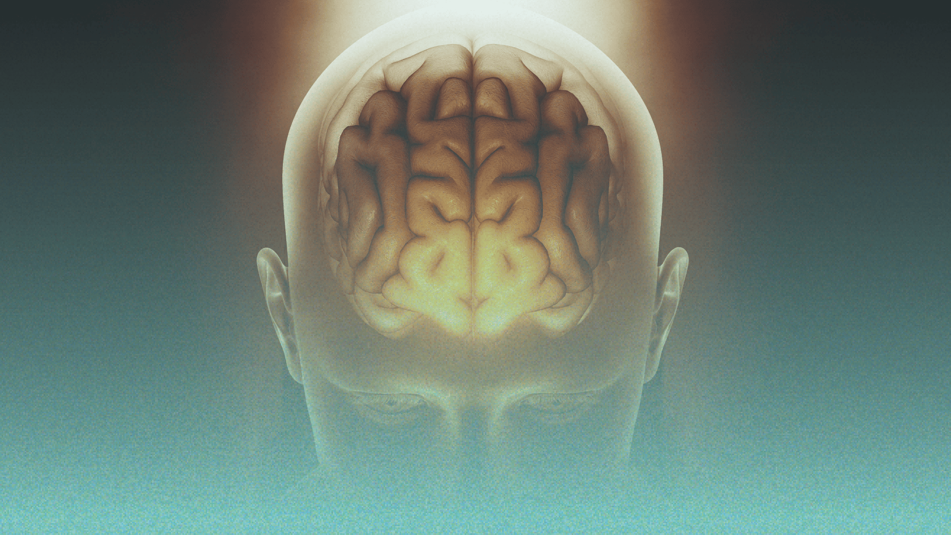 Neuroplasticidade e o processamento do zumbido no cérebro